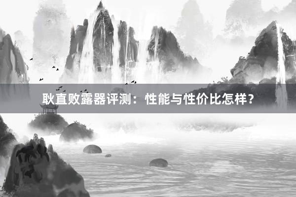 耿直败露器评测：性能与性价比怎样？